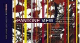 ѥȥʥѥȡPANTONE ӥ塼顼ץʡ ǯְ?