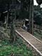 ʐ^fށ@DEX IMAGE@2/PH011_036.JPG