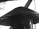 ʐ^fށ@DEX IMAGE@2/PH012_030.JPG