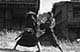 ʐ^fށ@DEX IMAGE@2/PH015_012.JPG