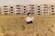 ʐ^fށ@DEX IMAGE@2/PH018_017.JPG