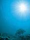 ʐ^fށ@DEX IMAGE@2/PH021_052.JPG