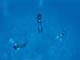 ʐ^fށ@DEX IMAGE@2/PH022_010.JPG