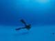 ʐ^fށ@DEX IMAGE@2/PH022_02.JPG7