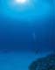 ʐ^fށ@DEX IMAGE@2/PH022_046.JPG