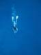 ʐ^fށ@DEX IMAGE@2/PH022_049.JPG