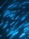 ʐ^fށ@DEX IMAGE@2/PH024_066.JPG