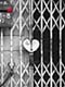ʐ^fށ@DEX IMAGE@2/PH036_001.JPG