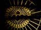 ʐ^fށ@DEX IMAGE@2/PH037_045.JPG
