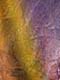 ʐ^fށ@DEX IMAGE@2/PH039_041.JPG