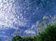ʐ^fށ@DEX IMAGE@2/PH027_003.JPG