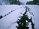 ʐ^fށ@DEX IMAGE@2/PH028_073.JPG