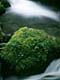 ʐ^fށ@DEX IMAGE@2/PH029_051.JPG