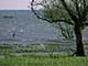 ʐ^fށ@DEX IMAGE@2/PH030_068.JPG