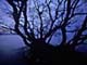 ʐ^fށ@DEX IMAGE@2/PH030_076.JPG