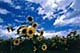 ʐ^fށ@DEX IMAGE@2/PH062_002.JPG