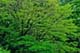 ʐ^fށ@DEX IMAGE@2/PH062_067.JPG
