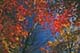 ʐ^fށ@DEX IMAGE@2/PH067_011.JPG