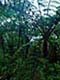 ʐ^fށ@DEX IMAGE@2/PH098_035.JPG