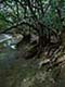 ʐ^fށ@DEX IMAGE@2/PH099_016.JPG