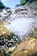 ʐ^fށ@DEX IMAGE@2/PH101_063.JPG
