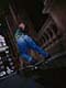 ʐ^fށ@DEX IMAGE@2/PH055_012.JPG