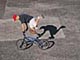 ʐ^fށ@DEX IMAGE@2/PH056_031.JPG