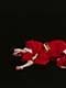 ʐ^fށ@DEX IMAGE@2/PH054_044.JPG