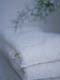 ʐ^fށ@DEX IMAGE@2/PH071_032.JPG