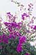 ʐ^fށ@DEX IMAGE@2/PH076_041.JPG