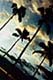 ʐ^fށ@DEX IMAGE@2/PH076_063.JPG