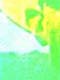 ʐ^fށ@DEX IMAGE@2/PH088_011.JPG