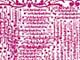 ʐ^fށ@DEX IMAGE@2/PH089_053.JPG