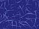 ʐ^fށ@DEX IMAGE@2/PH089_059.JPG
