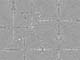 ʐ^fށ@DEX IMAGE@2/PH089_094.JPG
