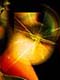 ʐ^fށ@DEX IMAGE@2/PH090_010.JPG