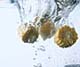 ʐ^fށ@DEX IMAGE@2/PH109_017.JPG