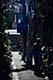ʐ^fށ@DEX IMAGE@2/PH102_027.JPG