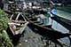 ʐ^fށ@DEX IMAGE@2/PH103_031.JPG