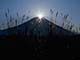 ʐ^fށ@DEX IMAGE@2/PH107_055.JPG