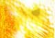 ʐ^fށ@DESIGN MASTER@DM02-024.JPG