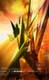 ʐ^fށ@DESIGN MASTER@DM22-020.JPG