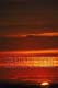 ʐ^fށ@؂ʐ^ JFI@2/21-096L.JPG