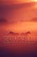 ʐ^fށ@؂ʐ^ JFI@2/27-037L.JPG