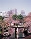 �f�ޏWTK-003.jpg