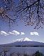 �f�ޏWJP-008.jpg