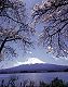 �f�ޏWJP-009.jpg