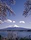 �f�ޏWJP-010.jpg