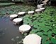 �f�ޏWJP-019.jpg