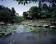�f�ޏWJP-020.jpg